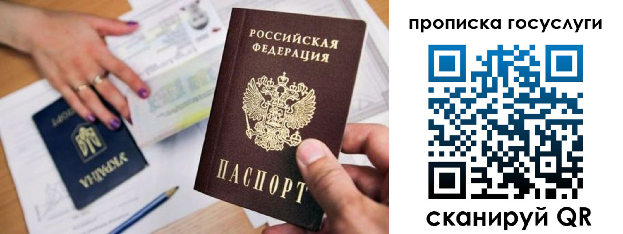 временная прописка в Зее
